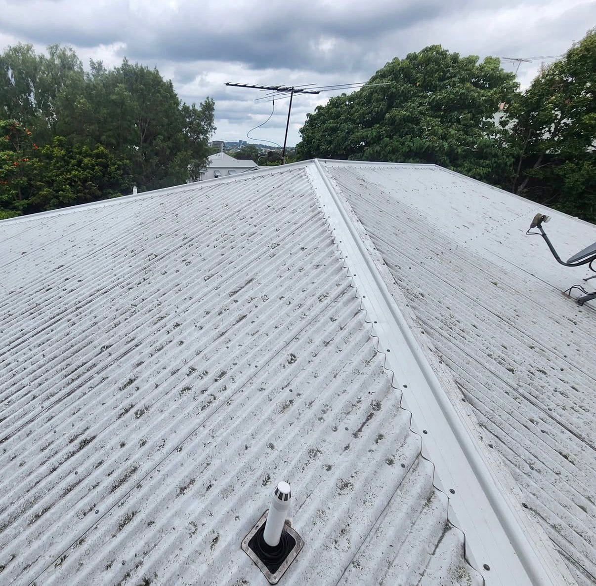 Roof before cleaning
